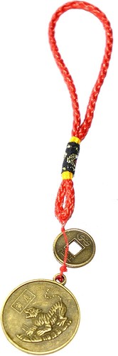 Year the tiger chinese - year,