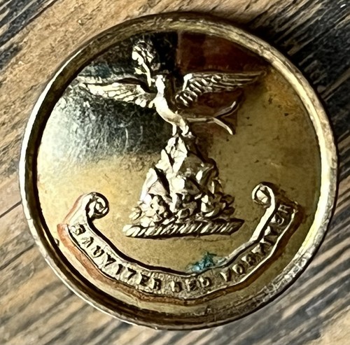 Antique livery button - antique,