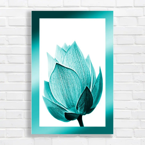 Elegant lotus flower - lotus,