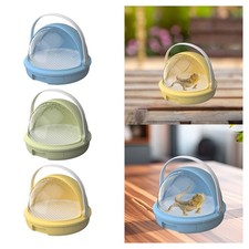 Reptile Terrarium Breeding