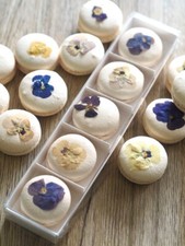 10 pack - clear lid cookie boxes - 5 cavities - macaron boxes - 25 x 5 x 2cm