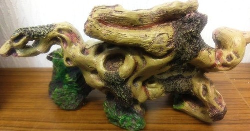 Knotted worn twisted tree root - knotted,