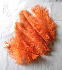 Prime Ostrich Plumes x 4 in