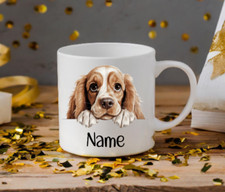 American Cocker Spaniel Dog