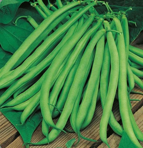 Blue lake bean - lake, climbing