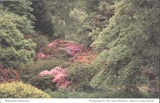 Vintage winkworth arboretum - vintage,