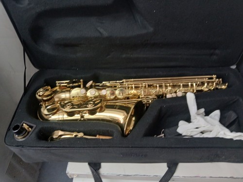 Alto saxophone 100 sax gold - alto,