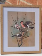 Basil Ede, The Bulfinch