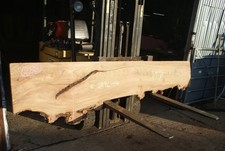 Elm Slab, Kiln Dried 2796 L x