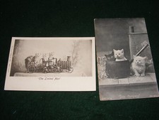 VINTAGE POSTCARD KITTENS CATS X 2 SAUCEPAN TRAIN TAXIDERMY BY WRENCH & CAMEO