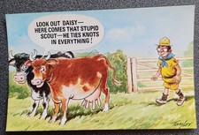Vintage Saucy Seaside Bamforth