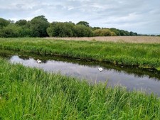 Photo A2 South Drain on Shapwick Heath NNR Ashcott Corner South Drain ph c2021