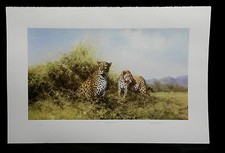 Leopards-Limited