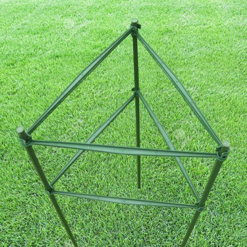 12pcs mutifunctional plant - 12pcs,