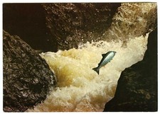 1970s J Arthur Dixon Postcard