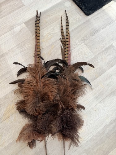 Pheasant and ostrich - and, feather