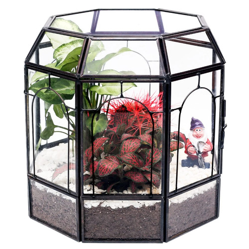 Large glass terrarium - large,