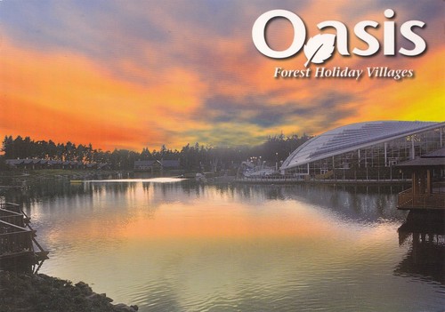 Postcard oasis forest - -,