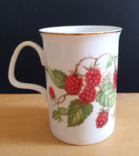 RASPBERRY FRUIT GARDEN