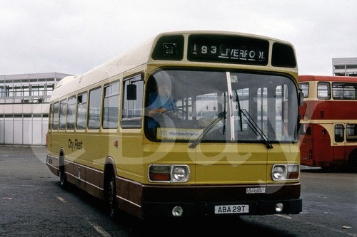 Bus photo city fleet - bus,
