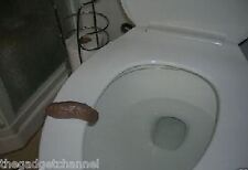 FAKE PRETEND POO TURD CRAP