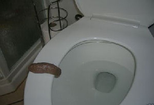 Fake pretend poo - poo, turd