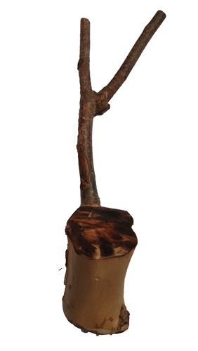 Hazel wood bird branch uk - wood, branch.