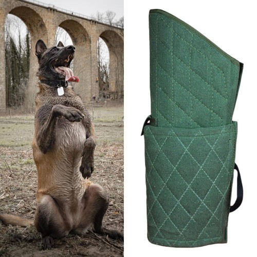 Dog bite sleeve training - bite,