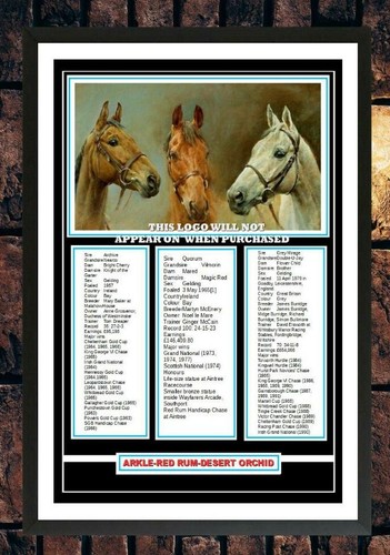 473 arkle red - ,