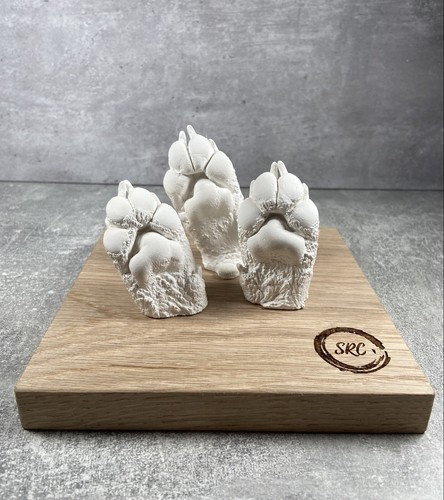 Paw casting kit - casting,