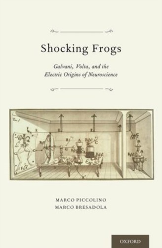 Piccolino shocking frogs - -,