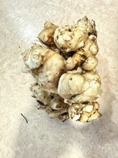 4.5 Kilogram Organic ,fresh