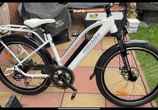 Electric Surf & Turf Bike