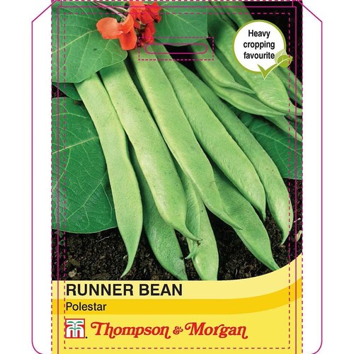 Thompson morgan vegetables - thompson,
