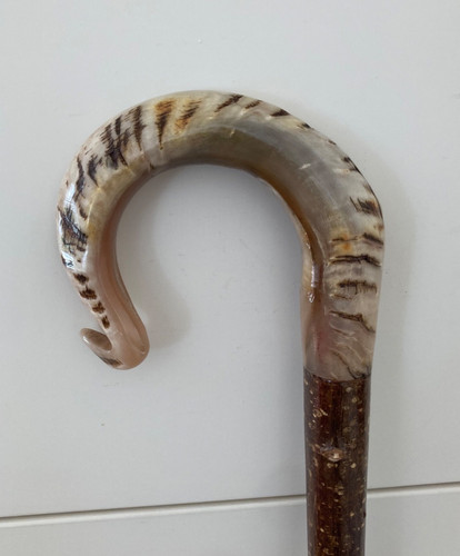 Tall herdwick rams horn crook - herdwick,