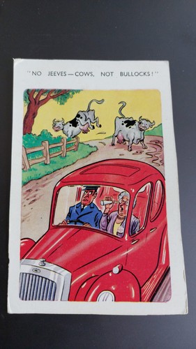 Vintage saucy postcard comic - postcard,