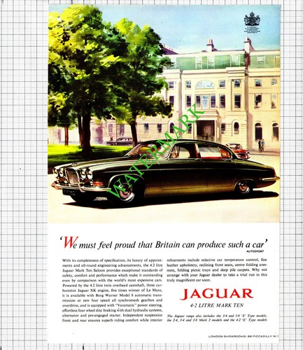 Jaguar litre mark - jaguar,