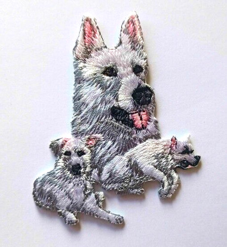White german shepherd dogs - shepherd,