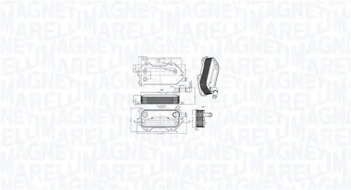 Engine oil cooler 350300003000