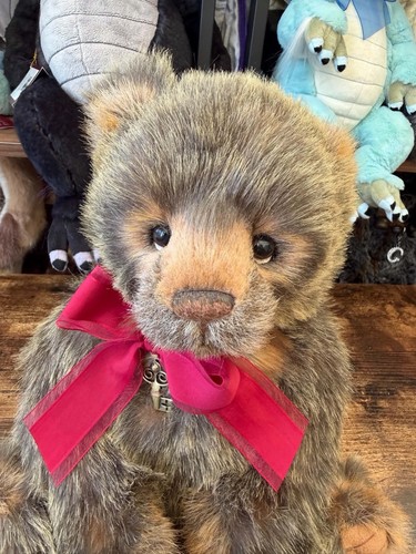 Charlie bears clinton 2020 - bears,, clinton,2020