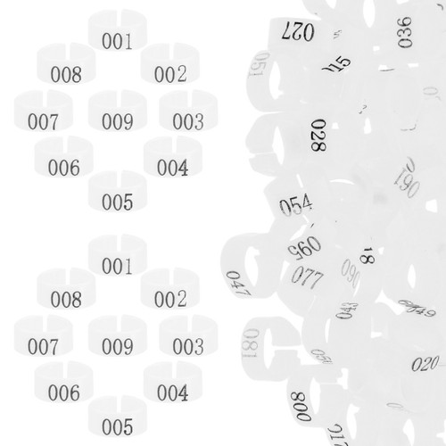 100 pcs pigeon - pcs,