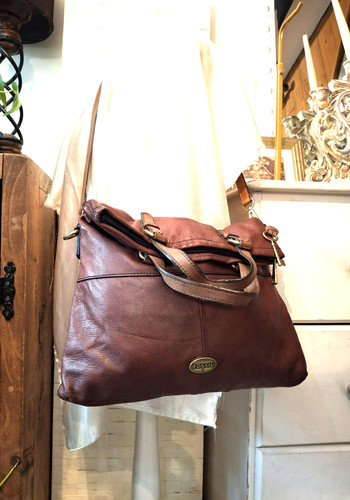 Fossil explorer real - fossil,