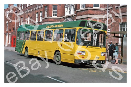 Bus photograph eastern - photograph,