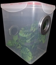 Arboreal Invertebrate Reptile