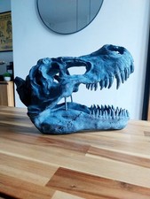 Skull Of Tyrannosaurus Rex -