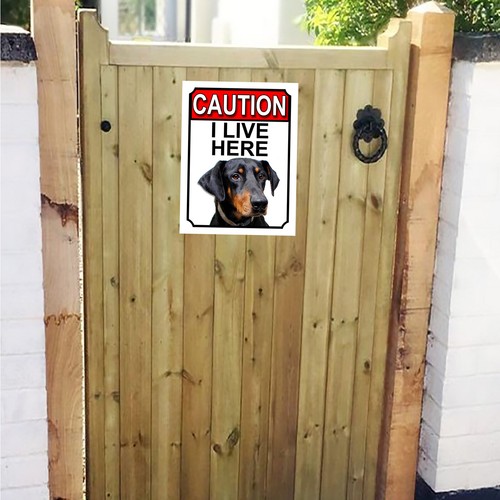 Caution live here doberman - caution, i