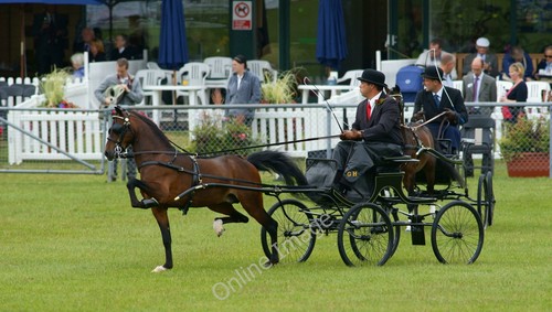 Photo 12x8 the - 12x8, of