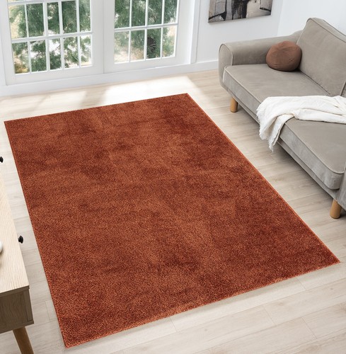 Terracotta living room - terracotta,