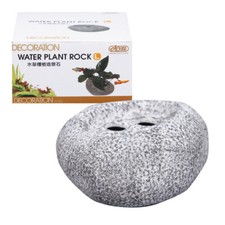 Ista water plant rock - rock, planting