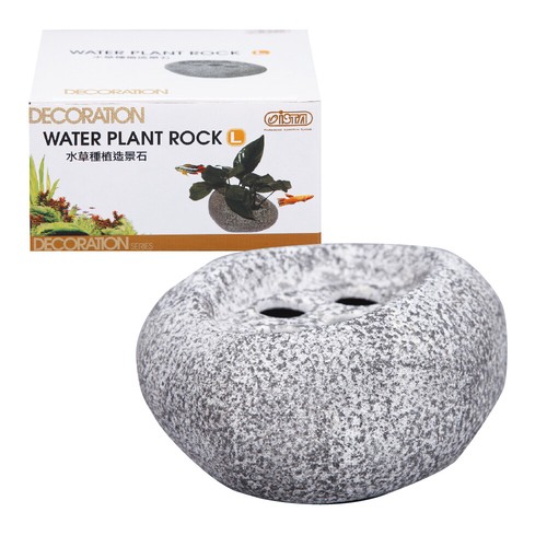 Ista water plant rock - plant,